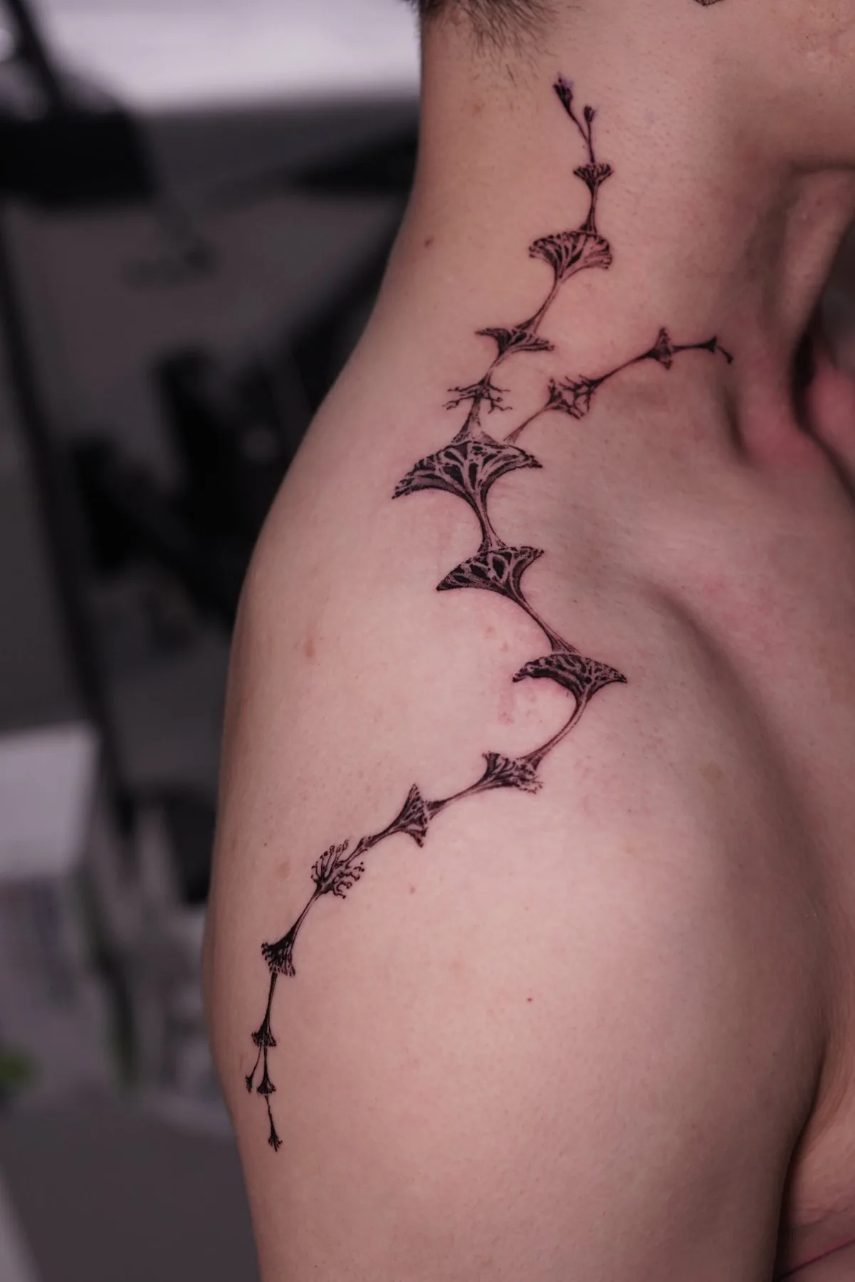 Botanical / Fine Lines tattoo on the shoulder by Moussa in Shanghai