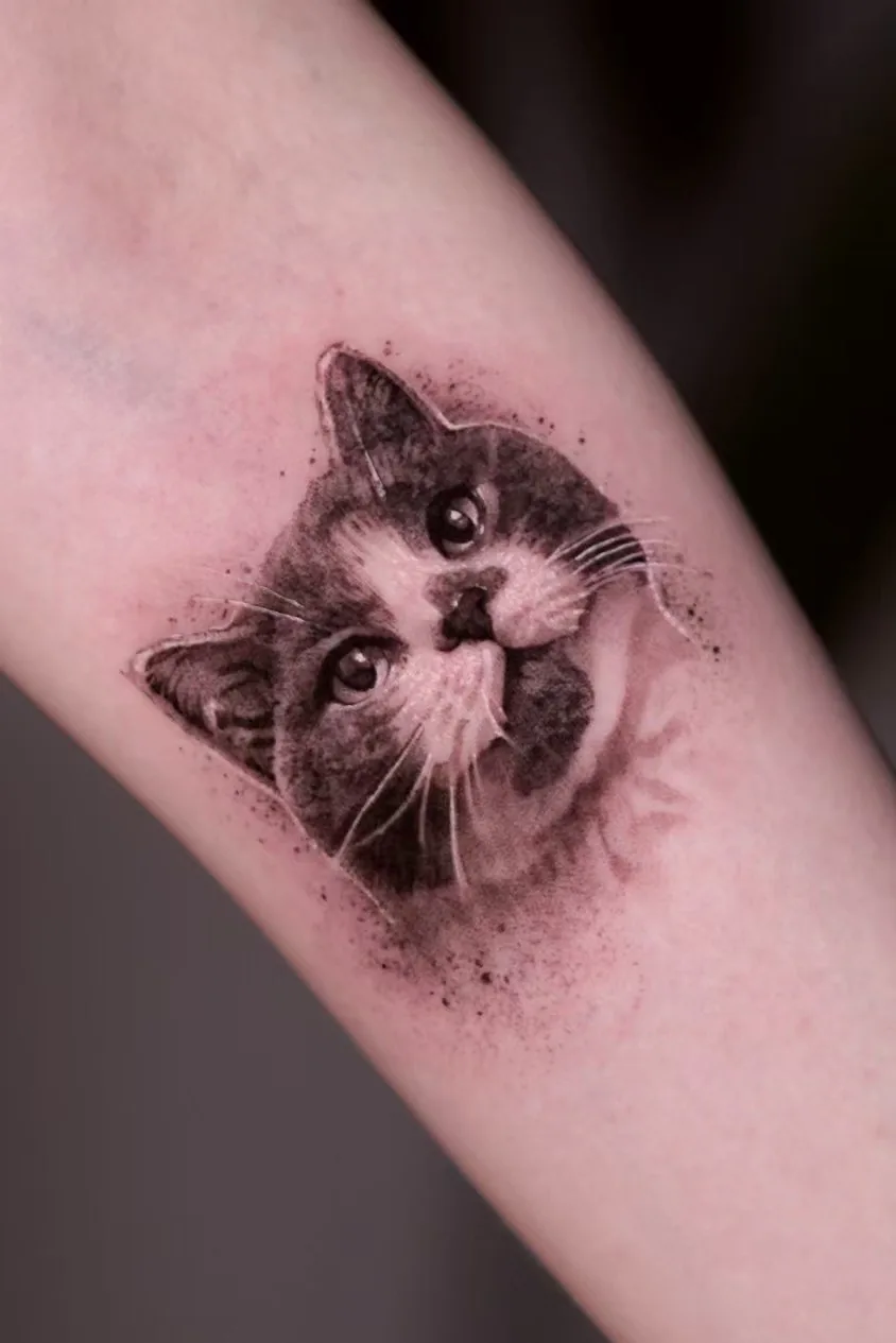 Cat / Portrait tattoo on the arm by Moussa in Shanghai