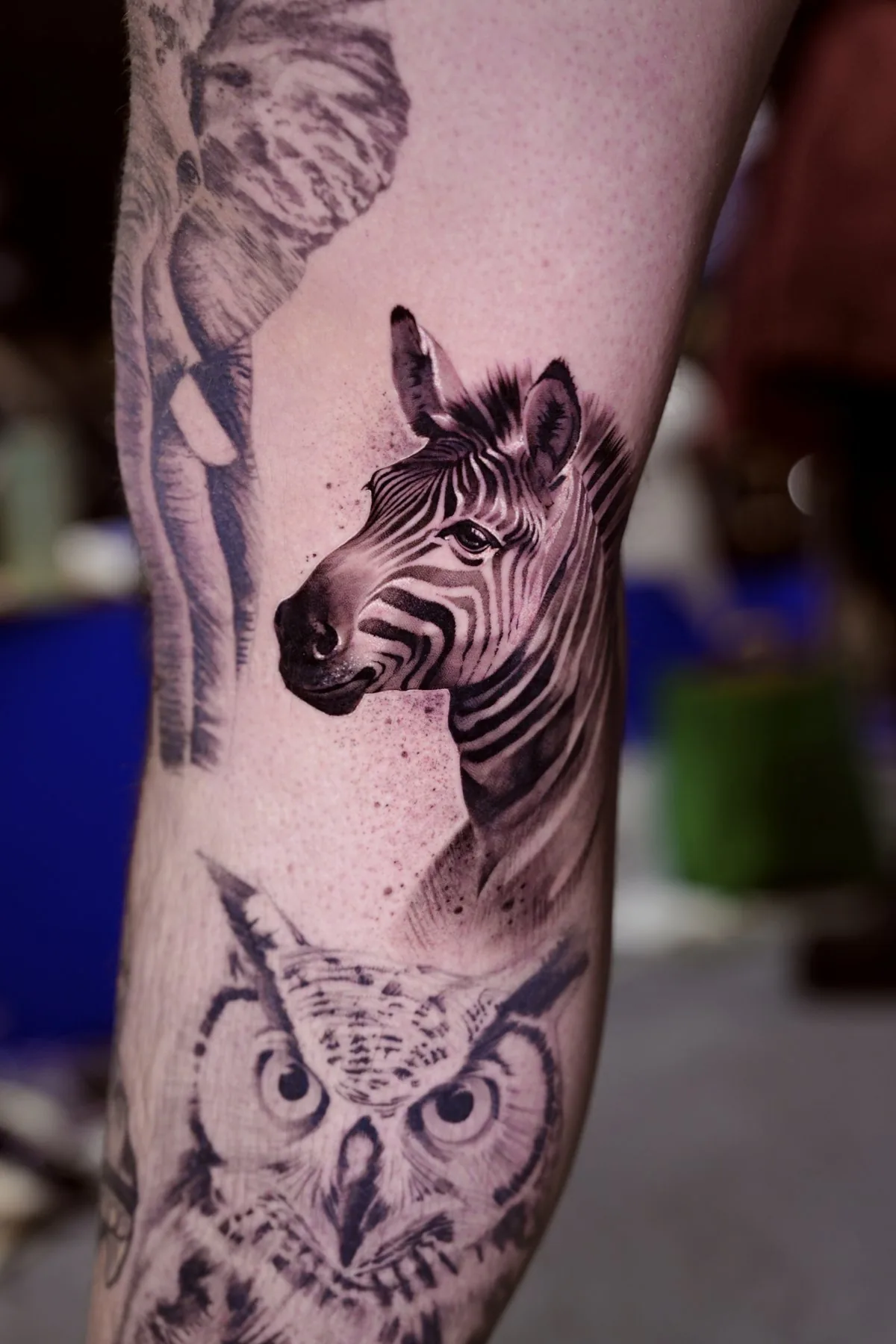 Zebra tattoo on the arm by Moussa in Shanghai